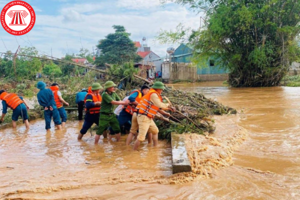 Pháp luật