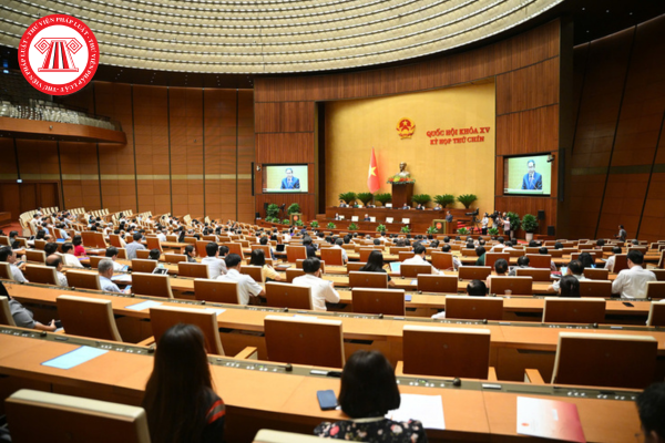 Pháp luật