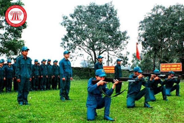 Pháp luật