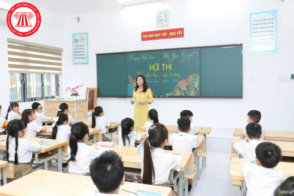 Pháp luật