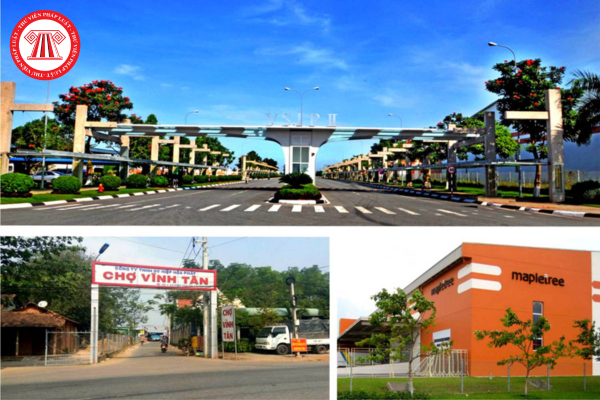 Pháp luật