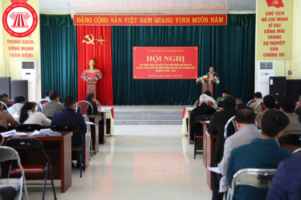 Pháp luật