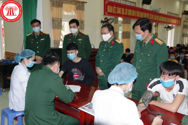 Pháp luật