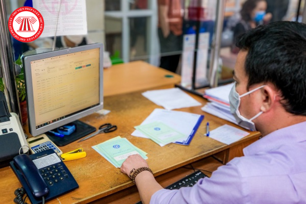Pháp luật