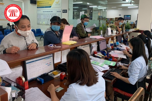 Pháp luật