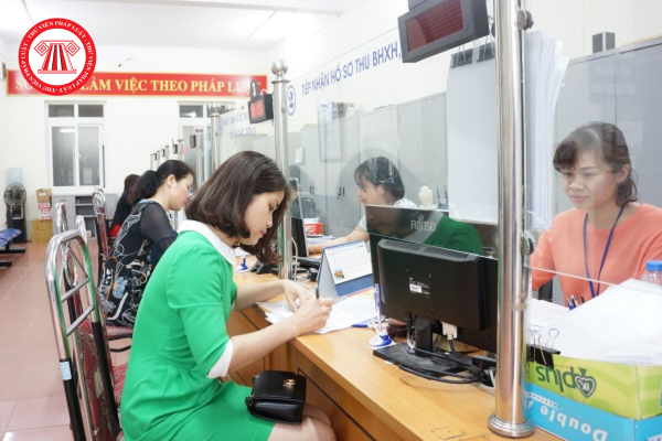 Pháp luật