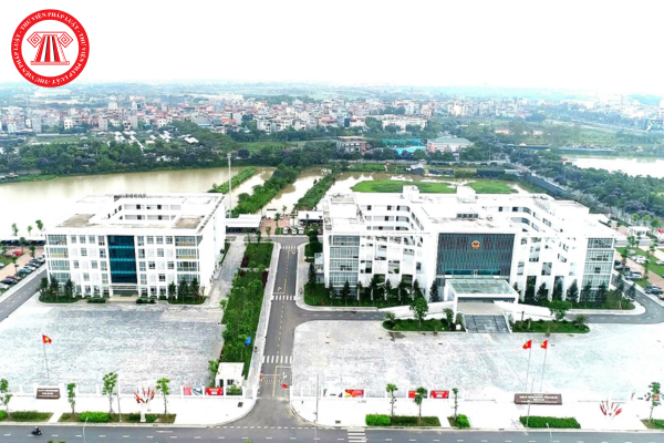 Pháp luật