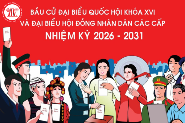 Pháp luật