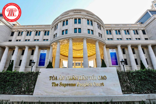 Pháp luật