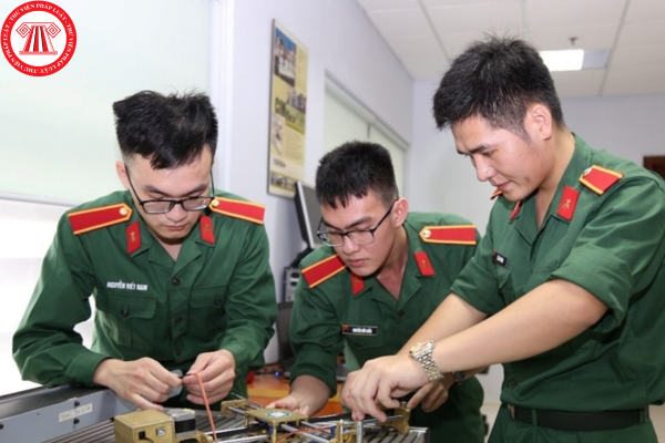 Pháp luật