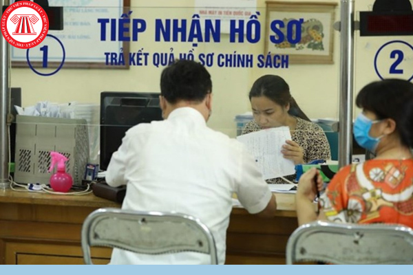 Pháp luật
