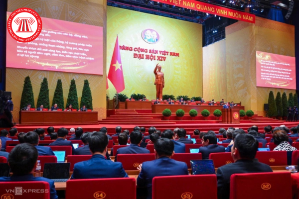 Pháp luật
