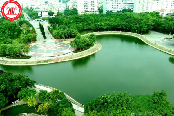 Pháp luật