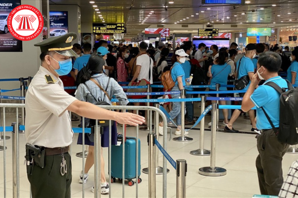 Pháp luật