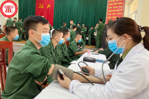 Pháp luật