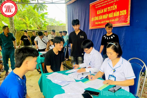 Pháp luật