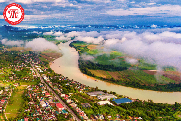 Pháp luật