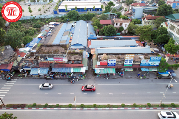 Pháp luật