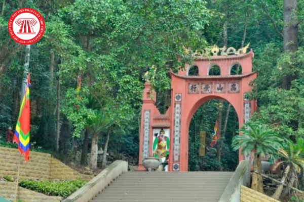 Pháp luật