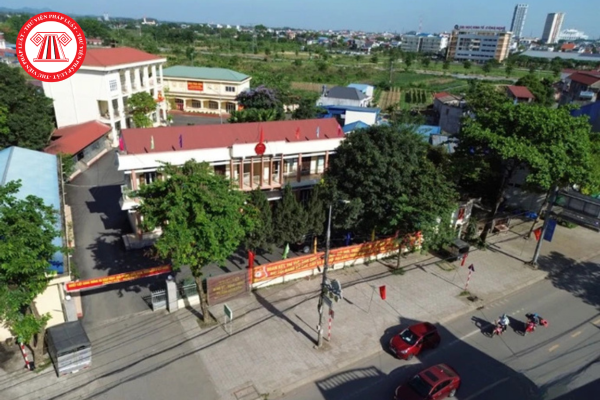 Pháp luật