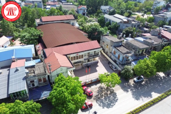 Pháp luật