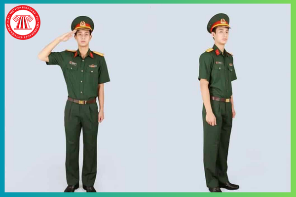 Pháp luật