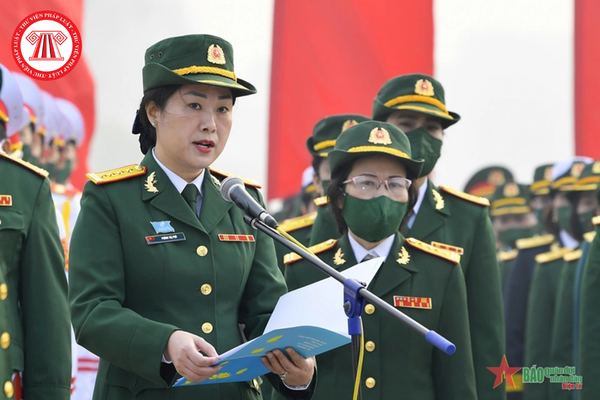 Pháp luật