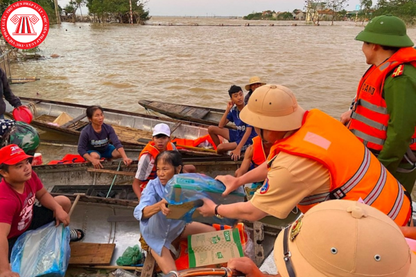 Pháp luật