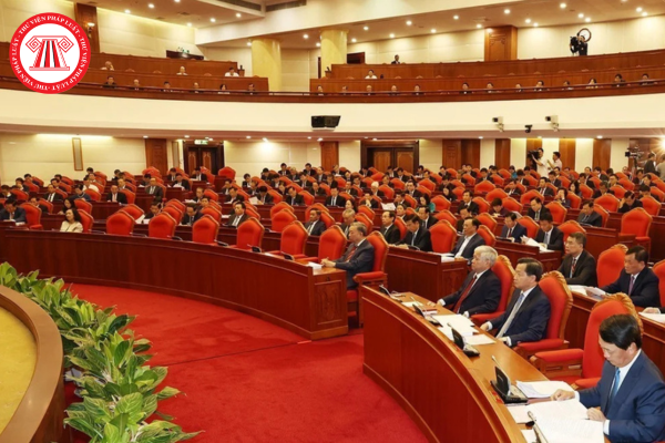 Pháp luật
