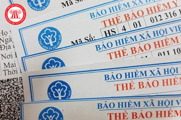 Pháp luật