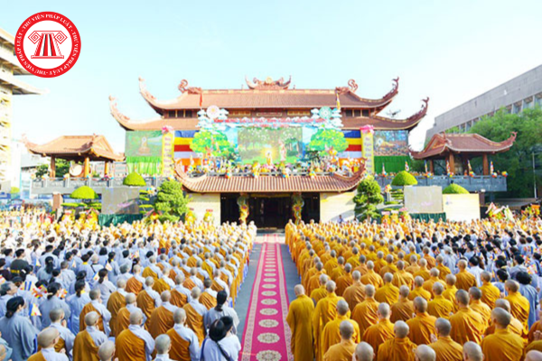 Pháp luật