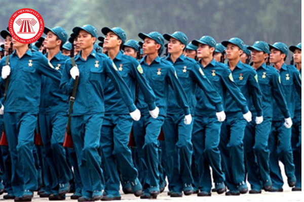 Pháp luật