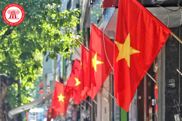 Pháp luật