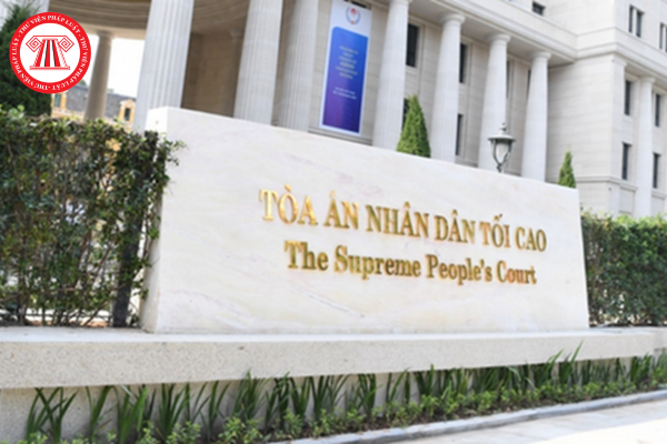 Pháp luật
