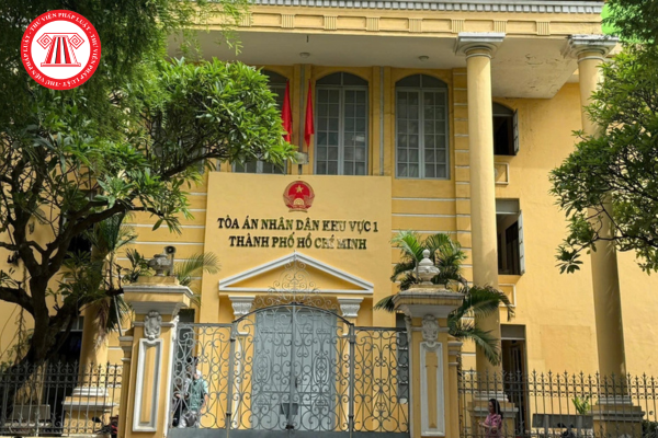 Pháp luật