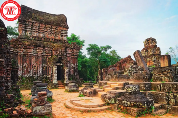 Pháp luật