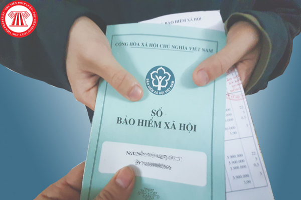 Pháp luật