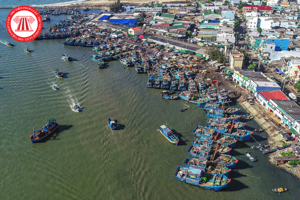 Pháp luật