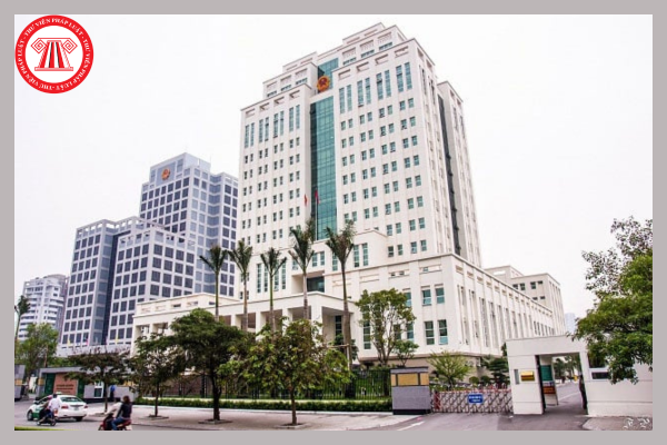Pháp luật