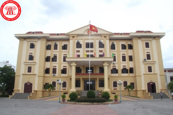 Pháp luật