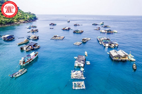 Pháp luật