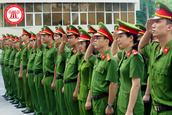 Pháp luật
