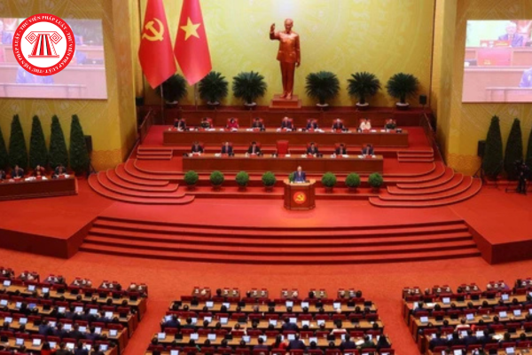 Pháp luật