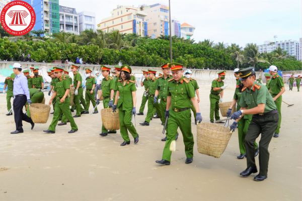 Pháp luật