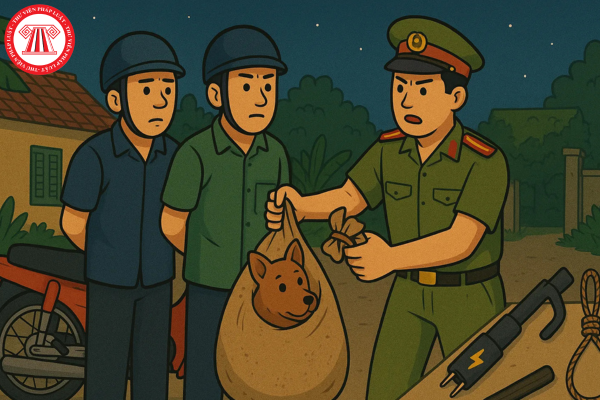 Pháp luật
