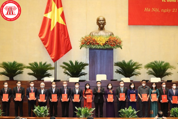 Pháp luật