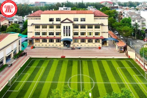 Pháp luật