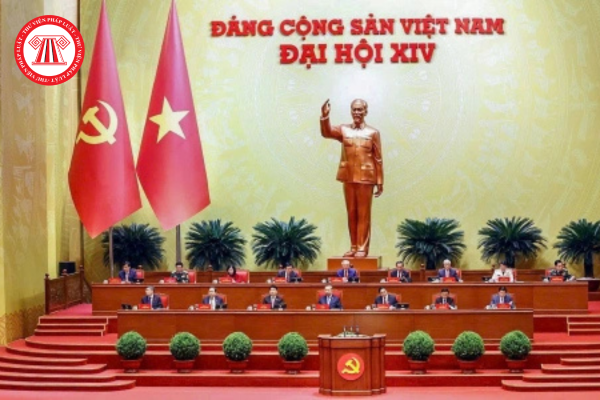 Pháp luật