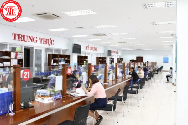 Pháp luật