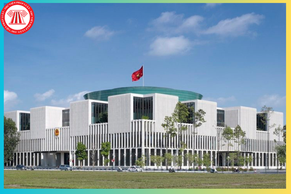 Pháp luật